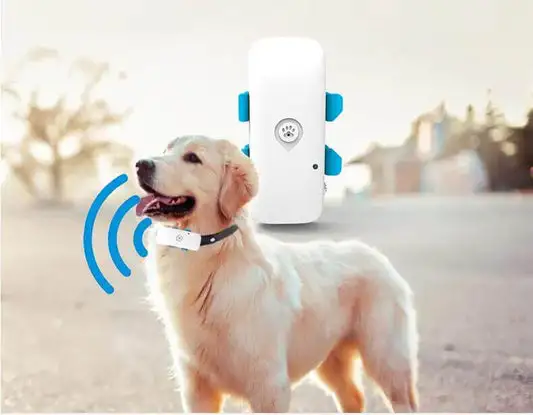 Su Geçirmez Mini 4G Kedi Köpek GPS Takip Cihazı - evcil hayvan sahiplerinin kolayca hayvanlarının konumunu takip etmesi için